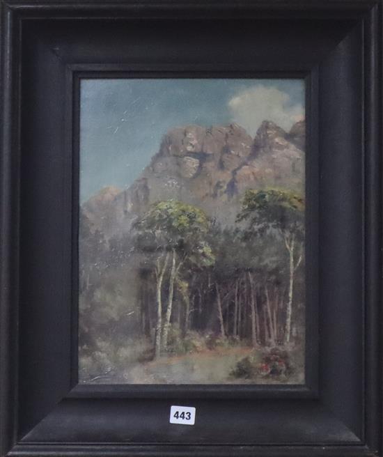 Attributed to Edward Charles Moore (South African, 1883-1946), oil on board, Kirstenbosch Botanical Gardens, Cape Town, 39 x 29cm